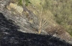 Лесной пожар на горном склоне вспыхнул в Республике Алтай