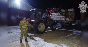 Тракторист пойдет под суд за гибель рабочего из-за упавшего бревна