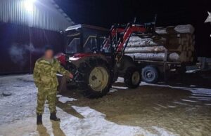 Тракторист пойдет под суд за гибель рабочего из-за упавшего бревна