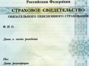 за 30 лет в Республике Алтай оформлено более 355 тысяч СНИЛС