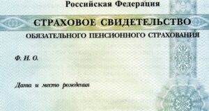 за 30 лет в Республике Алтай оформлено более 355 тысяч СНИЛС