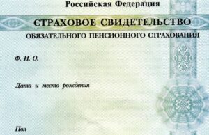 За 30 лет в Республике Алтай оформлено более 355 тысяч СНИЛС за 30 лет в Республике Алтай оформлено более 355 тысяч СНИЛС