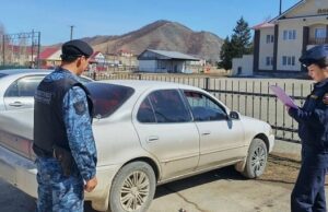 Автолюбитель оплатил 103 штрафа после ареста иномарки