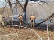 Детская шалость стала причиной травяного пожара в Горно-Алтайске Детская шалость стала причиной травяного пожара в Горно-Алтайске
