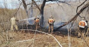 Детская шалость стала причиной травяного пожара в Горно-Алтайске