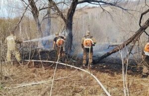 Детская шалость стала причиной травяного пожара в Горно-Алтайске