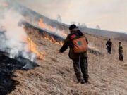 Ландшафтный пожар в Шебалинском районе тушили более 20 человек Ландшафтный пожар в Шебалинском районе тушили более 20 человек