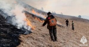 Ландшафтный пожар в Шебалинском районе тушили более 20 человек