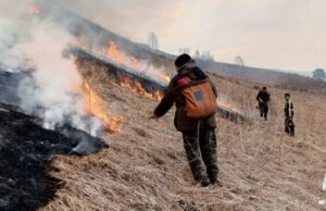 Ландшафтный пожар в Шебалинском районе тушили более 20 человек