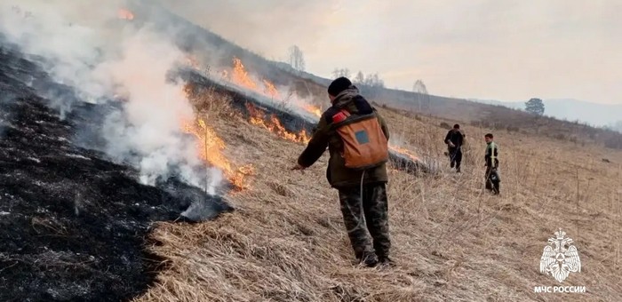 Ландшафтный пожар в Шебалинском районе тушили более 20 человек