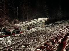 28-летняя девушка погибла в ДТП в Шебалинском районе