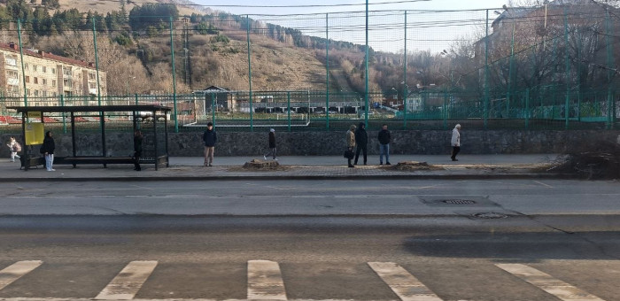 Аварийные деревья вдоль проспекта вырубают в Горно-Алтайске