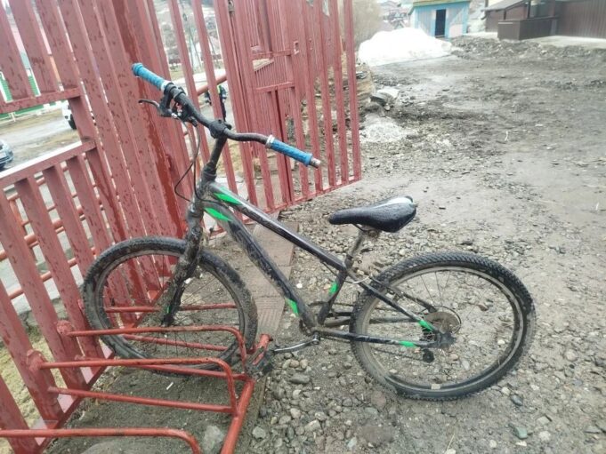 photo 2026 04 14 15 19 50