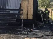 Крупный пожар произошел в Кош-Агаче, его площадь превысила 300 кв. м Крупный пожар произошел в Кош-Агаче, его площадь превысила 300 кв. м