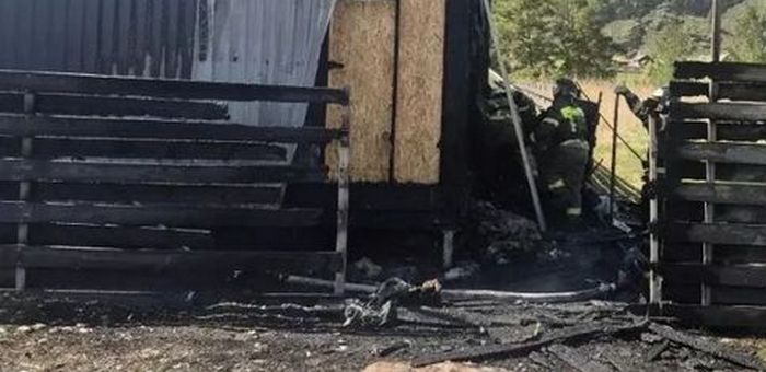 Крупный пожар произошел в Кош-Агаче, его площадь превысила 300 кв. м