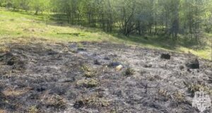 В Горно-Алтайске произошел пожар на тропе здоровья