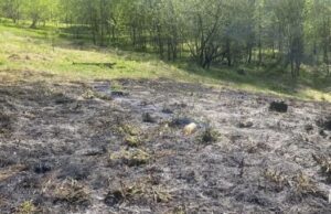 В Горно-Алтайске произошел пожар на тропе здоровья