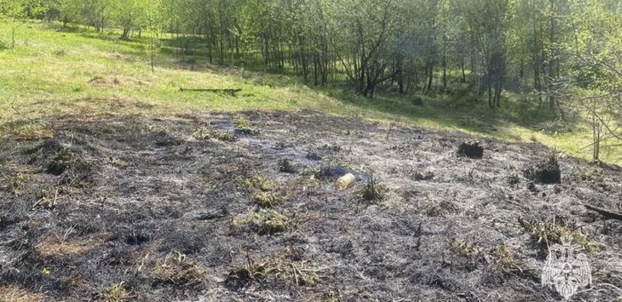 В Горно-Алтайске произошел пожар на тропе здоровья