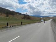 Байкер из Кузбасса насмерть сбил лошадь на Алтае