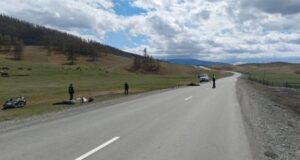 Байкер из Кузбасса насмерть сбил лошадь на Алтае Байкер из Кузбасса насмерть сбил лошадь на Алтае