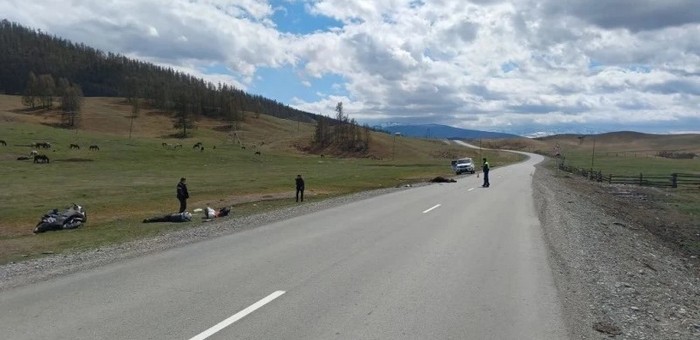 Байкер из Кузбасса насмерть сбил лошадь на Алтае