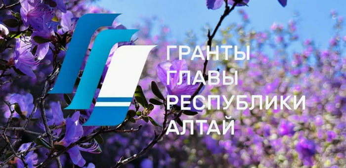 Начался прием заявок на конкурс грантов главы Республики Алтай