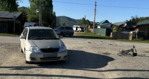Автоледи на «Тойоте» сбила 11-летнюю велосипедистку в Турочаке Автоледи на «Тойоте» сбила 11-летнюю велосипедистку в Турочаке