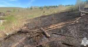 Четыре ландшафтных пожара произошло в регионе с начала мая