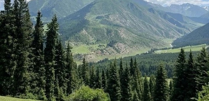 В Республике Алтай усилили охрану лесов