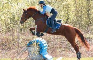 Соревнования по конному спорту прошли в Горно-Алтайске