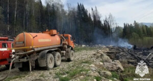 Около Артыбаша потушили лесной пожар