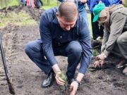 «Сад памяти»: 900 сеянцев кедра высадили в Майминском районе