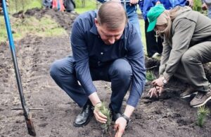 «Сад памяти»: 900 сеянцев кедра высадили в Майминском районе