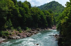 Синоптики прогнозируют жару на Алтае Синоптики прогнозируют жару на Алтае