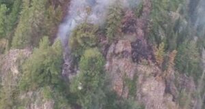 Два лесных пожара действуют в Республике Алтай