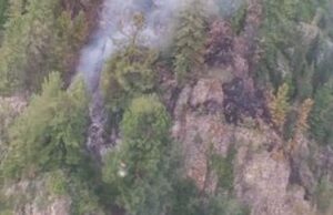 Два лесных пожара действуют в Республике Алтай