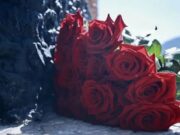 В Республике Алтай почтили память погибших в годы Великой Отечественной войны