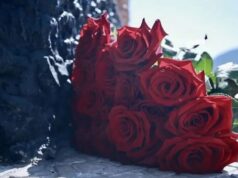 В Республике Алтай почтили память погибших в годы Великой Отечественной войны