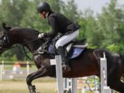 Спортсменки с Алтая блестяще выступили на чемпионате СФО по конному троеборью Спортсменки с Алтая блестяще выступили на чемпионате СФО по конному троеборью