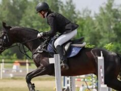 Спортсменки с Алтая блестяще выступили на чемпионате СФО по конному троеборью