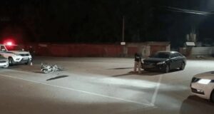 16-летняя девушка пострадала в «пьяном» ДТП с питбайком в Горно-Алтайске 16-летняя девушка пострадала в «пьяном» ДТП с питбайком в Горно-Алтайске
