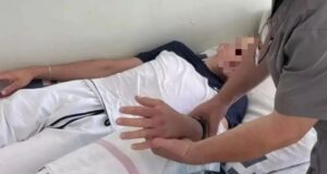 На Алтае туриста укусила змея, которую он хотел погладить На Алтае туриста укусила змея, которую он хотел погладить