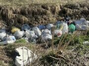 В Усть-Коксе после вмешательства прокуратуры убрали свалку на берегу Катуни