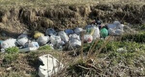 В Усть-Коксе после вмешательства прокуратуры убрали свалку на берегу Катуни В Усть-Коксе после вмешательства прокуратуры убрали свалку на берегу Катуни