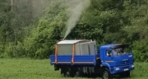 Леса в Республике Алтай обрабатывают от непарного шелкопряда Леса в Республике Алтай обрабатывают от непарного шелкопряда