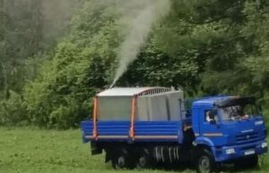 Леса в Республике Алтай обрабатывают от непарного шелкопряда