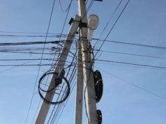 Алтайские энергетики выявили более 4 500 опор линий электропередачи с незаконными линиями связи