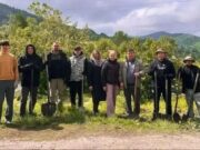 Почти 20 ТОСов зарегистрировано в Горно-Алтайске