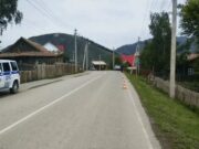 Мотоцикл сбил собаку в Усть-Кане, водитель попал в больницу Мотоцикл сбил собаку в Усть-Кане, водитель попал в больницу