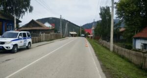 Мотоцикл сбил собаку в Усть-Кане, водитель попал в больницу Мотоцикл сбил собаку в Усть-Кане, водитель попал в больницу